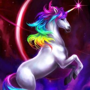 Meet your Posher, Shari